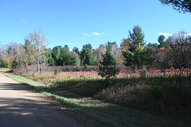 $17,500 | Tbd Pike Court, Browerville, MN 56438