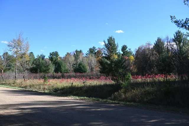 $17,500 | Tbd Pike Court, Browerville, MN 56438