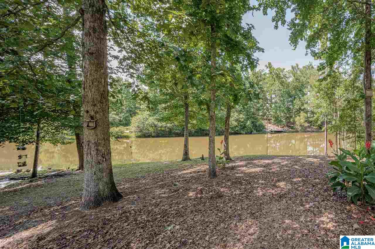 451 Sunset Lake Circle Chelsea, AL 35043 - Photo 44 of 45