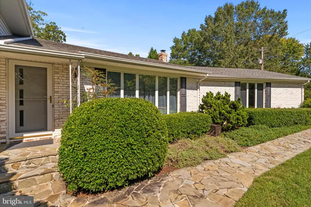 a view of backyard with green space