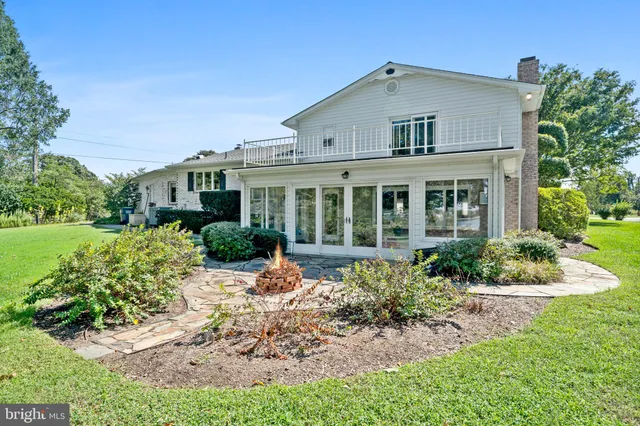 a view of a yard with plants and trees