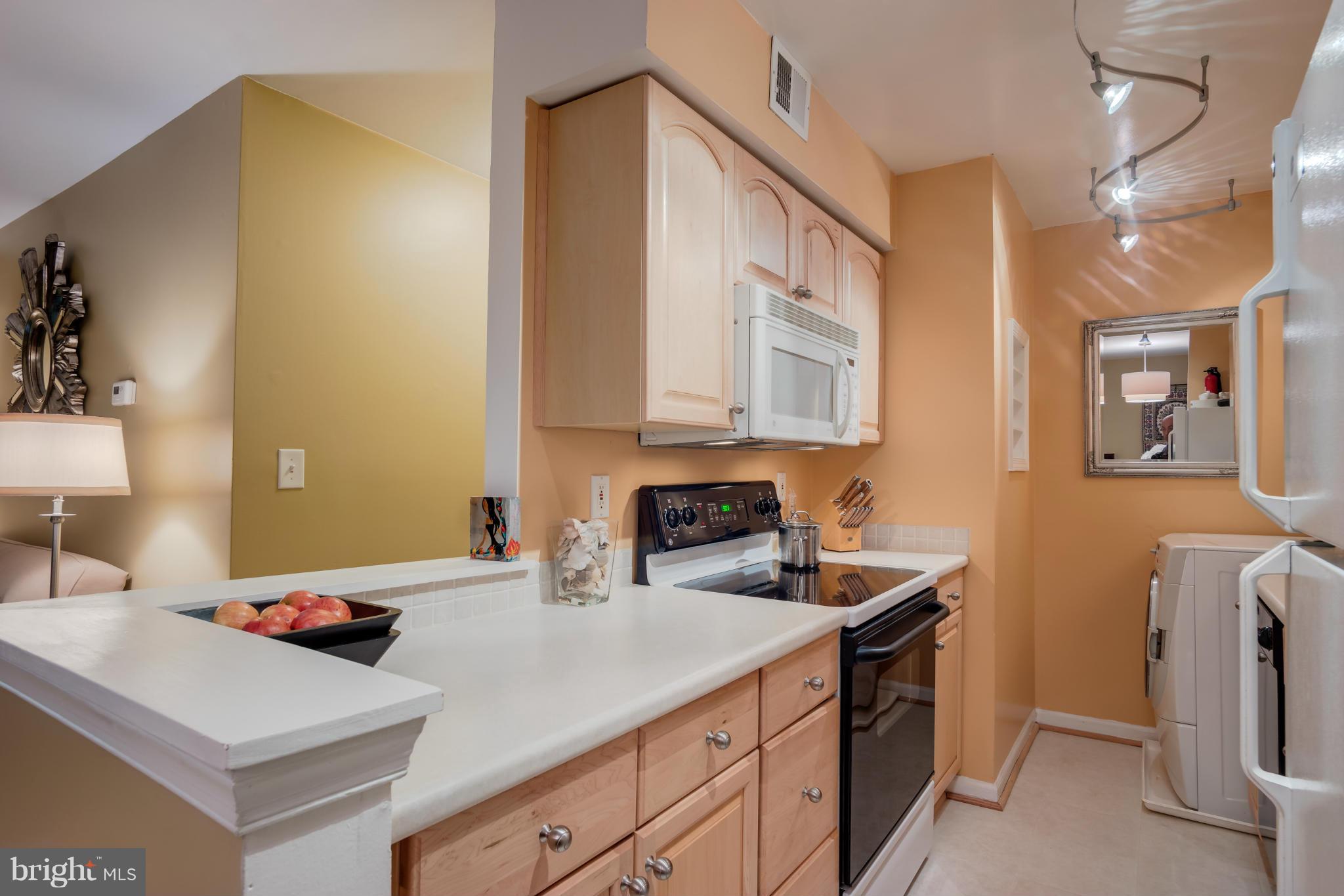 5907 Bayshire Road, Unit 191 Springfield, VA 22152 - Photo 4 of 30 Kitchen