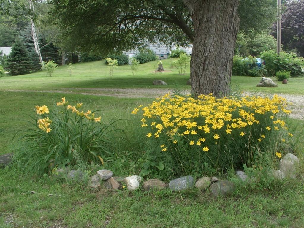 31 Bangs Shore Road Orrs Island, ME 04066 - Photo 28 of 35 Looking forward to spring to see the...
