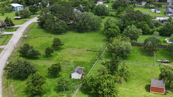 a lush green forest with lots of trees