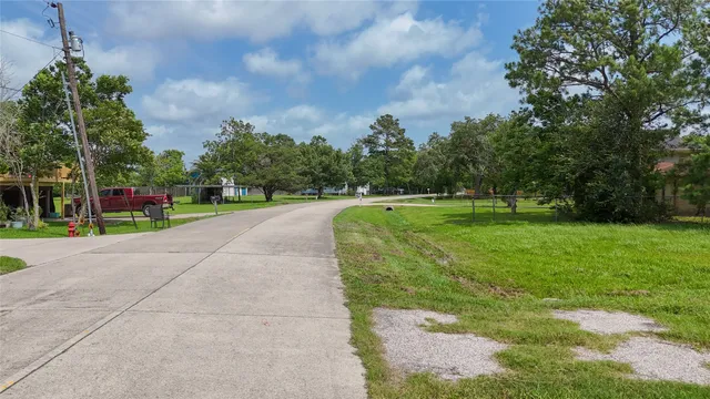 a view of a park with large trees
