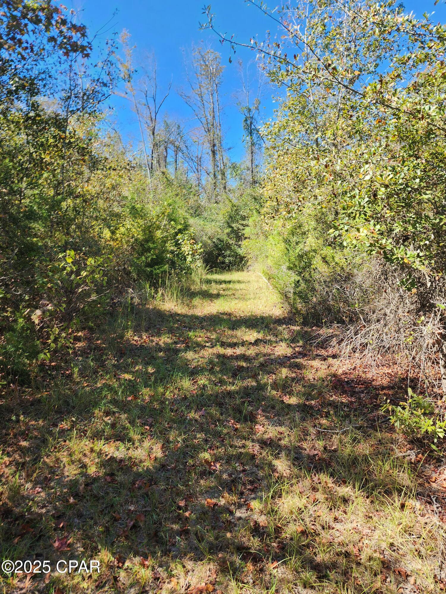 0 Pineridge Church Road Marianna, FL 32448 - Photo 25 of 33