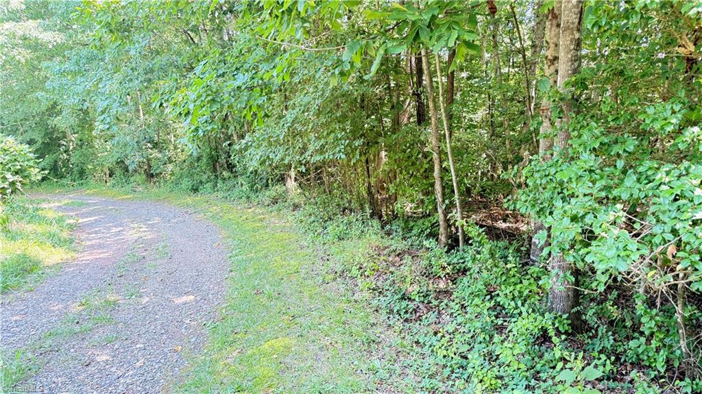 Tbd Rockford Road Dobson, NC 27017 - Photo 8 of 14
