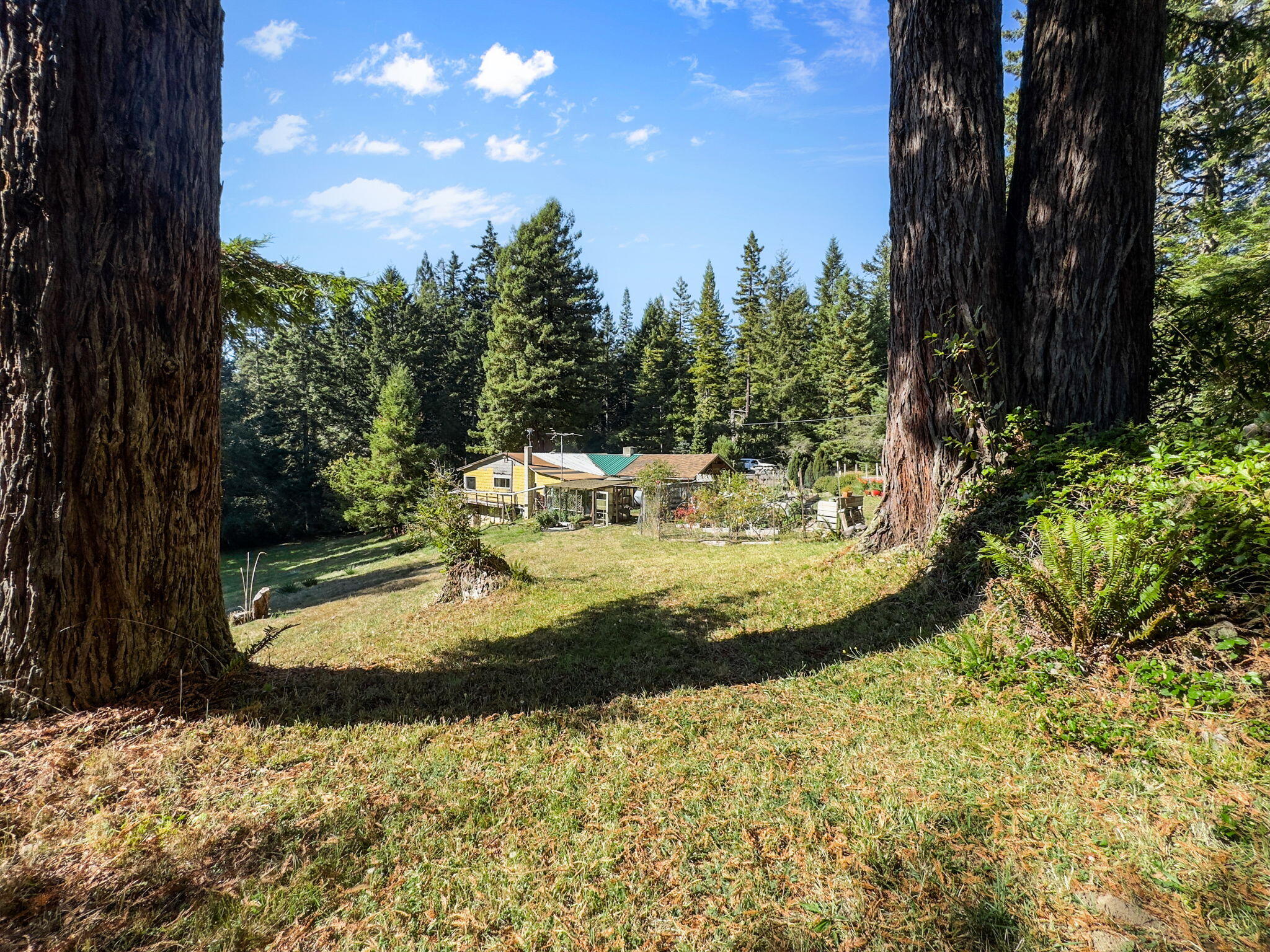 7097 Fickle Hill Road Arcata, CA 95521 - Photo 29 of 43