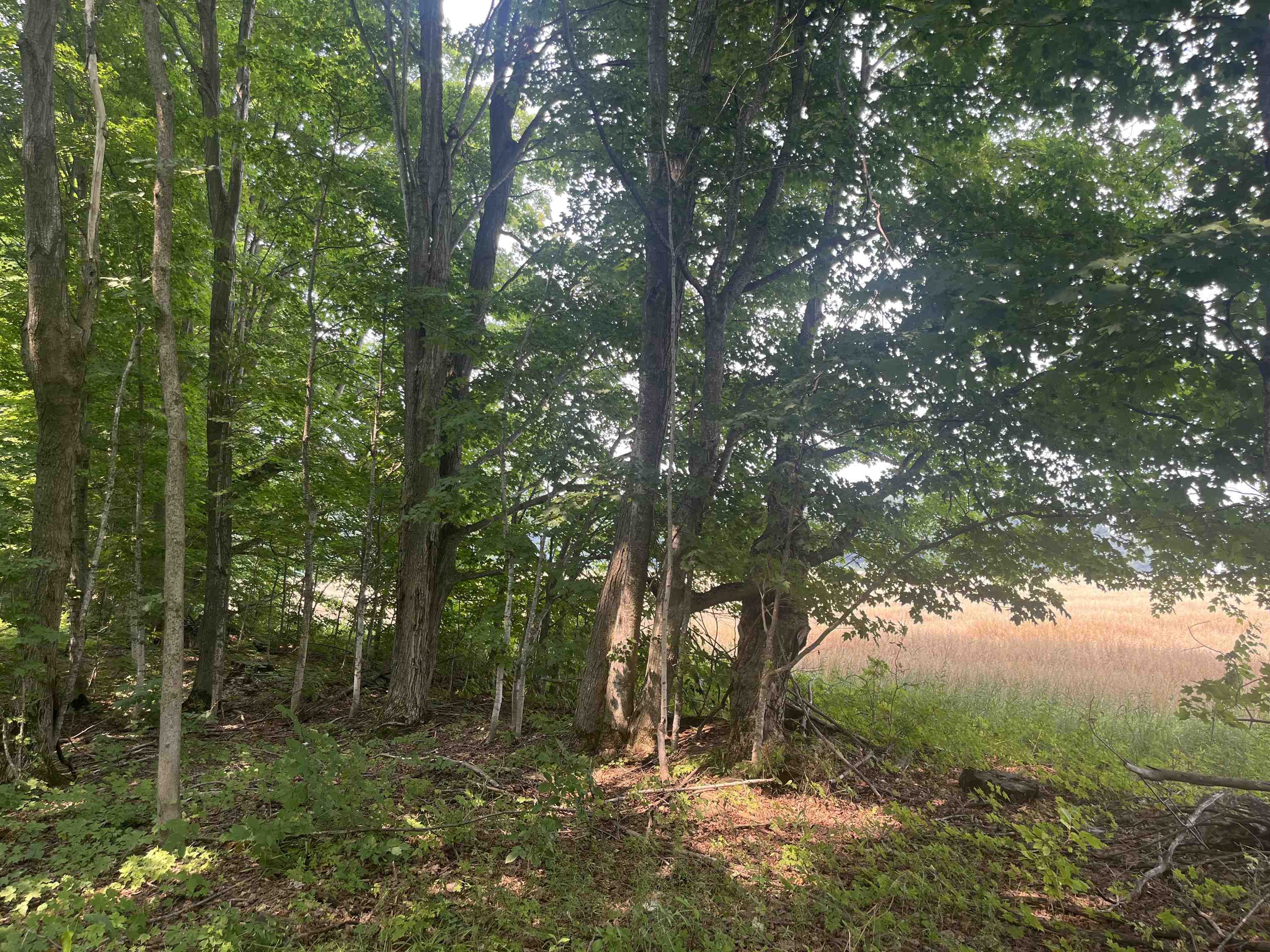 Ramsay Road Thompsonville, MI 49683 - Photo 8 of 17 Gallery Image 8