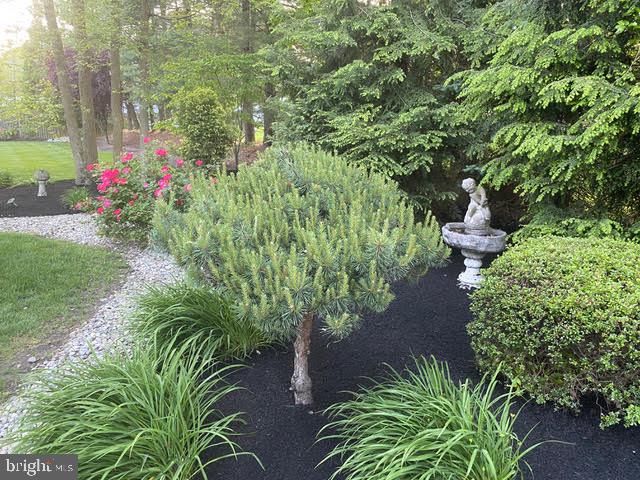 40 Covington Lane Voorhees, NJ 08043 - Photo 56 of 57 back yard with professionally landscaping