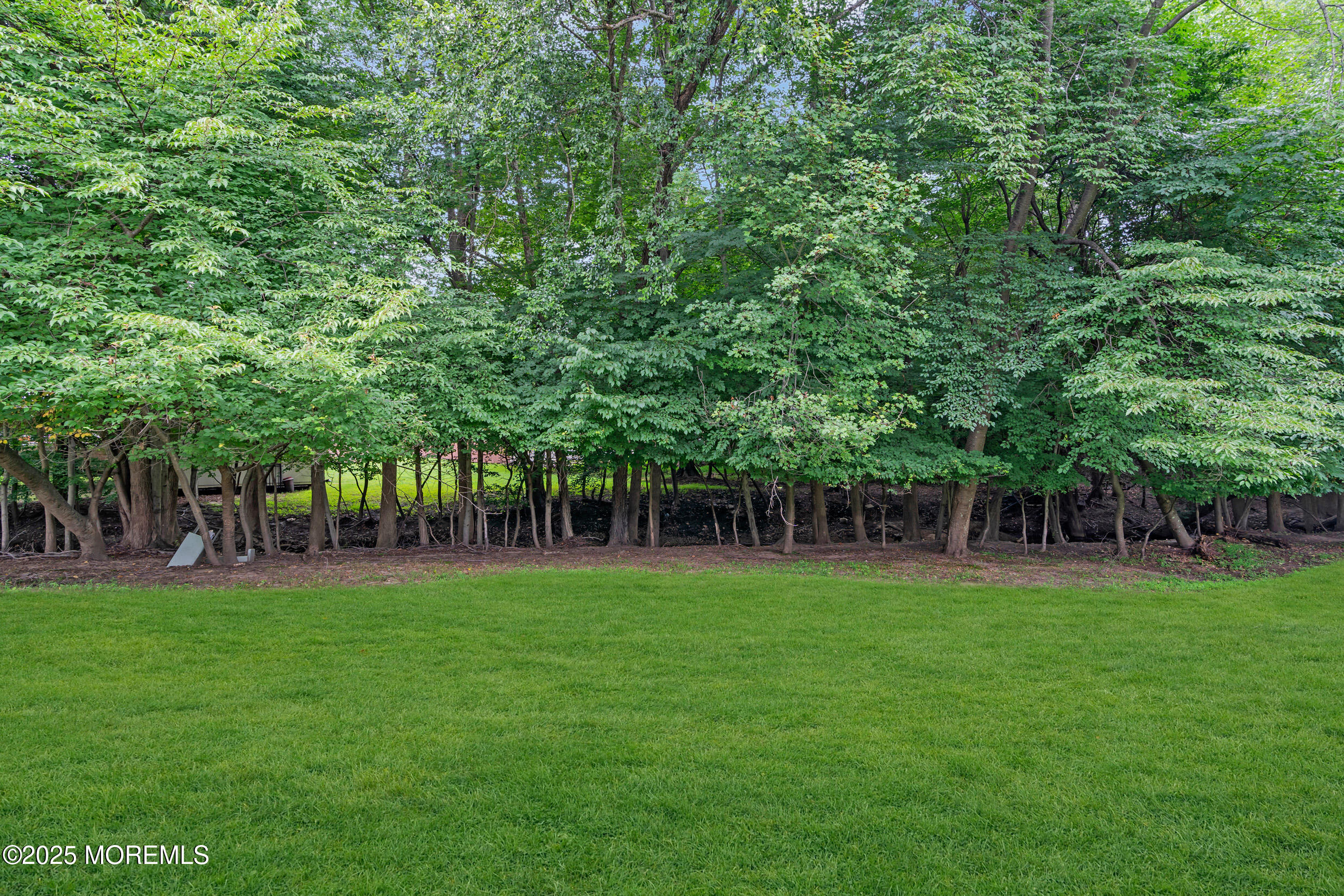 70 Overlook Way, Unit A Manalapan, NJ 07726 - Photo 16 of 20 a backyard of a house with lots of plants and large tree