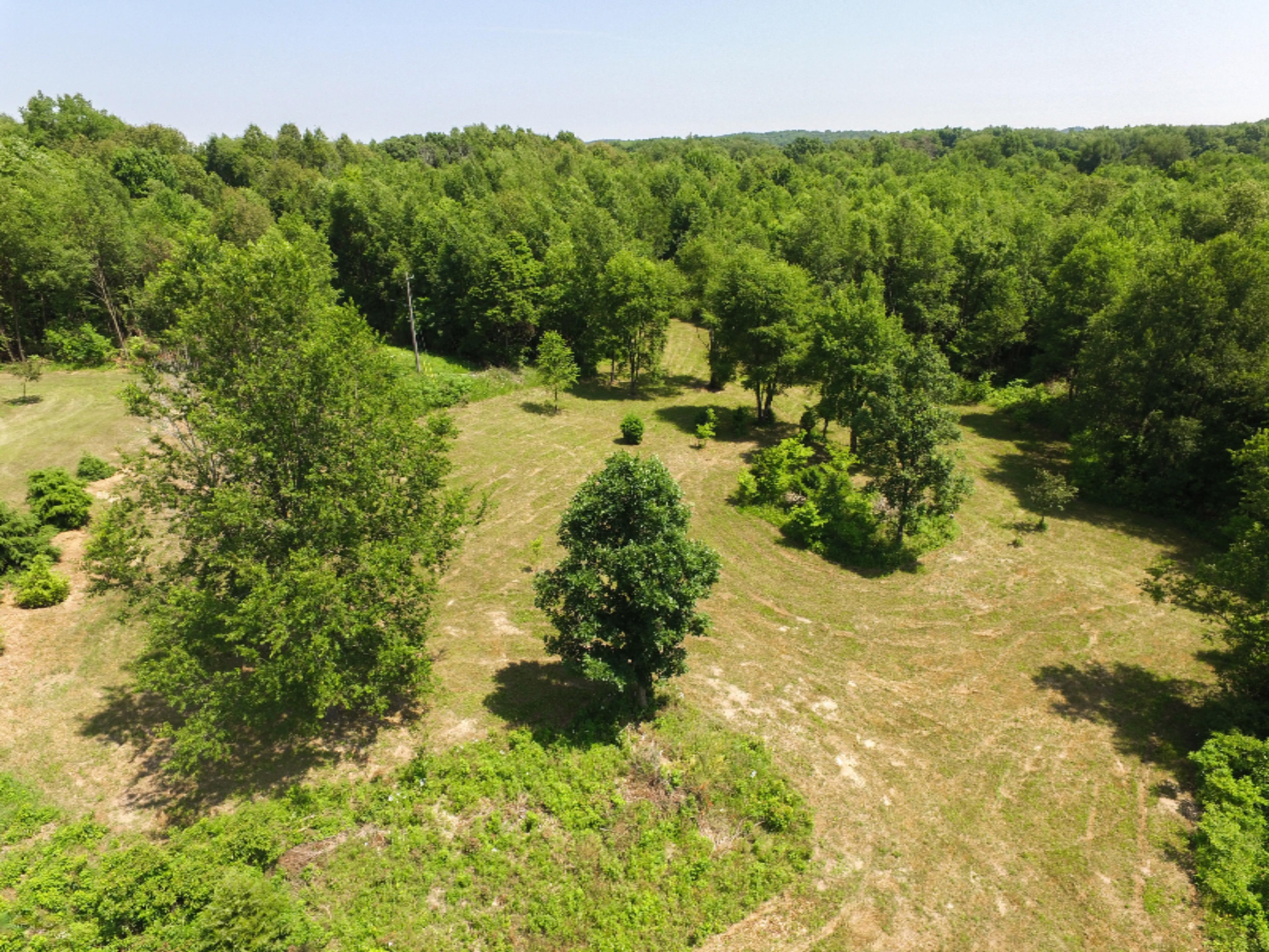 10024 Mohney Lake Road Marcellus, MI 49067 - Photo 47 of 71 DJI_0428
