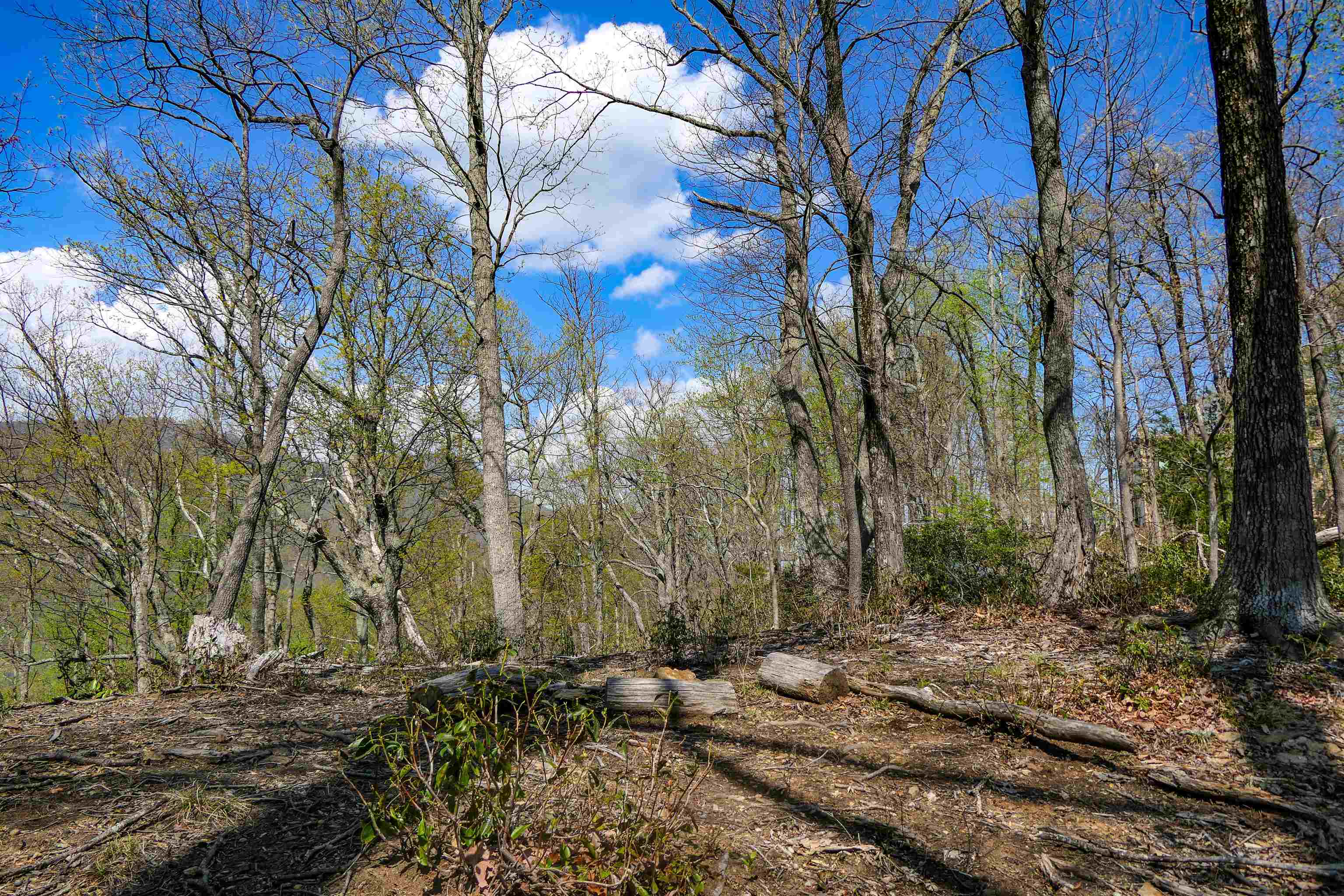 0 Ragans Point Columbus, NC 28722 - Photo 8 of 10 Gallery Image 8