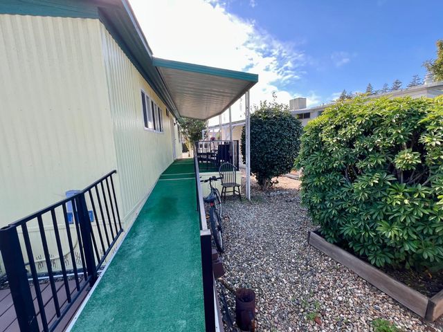 a view of a bunch of flowers