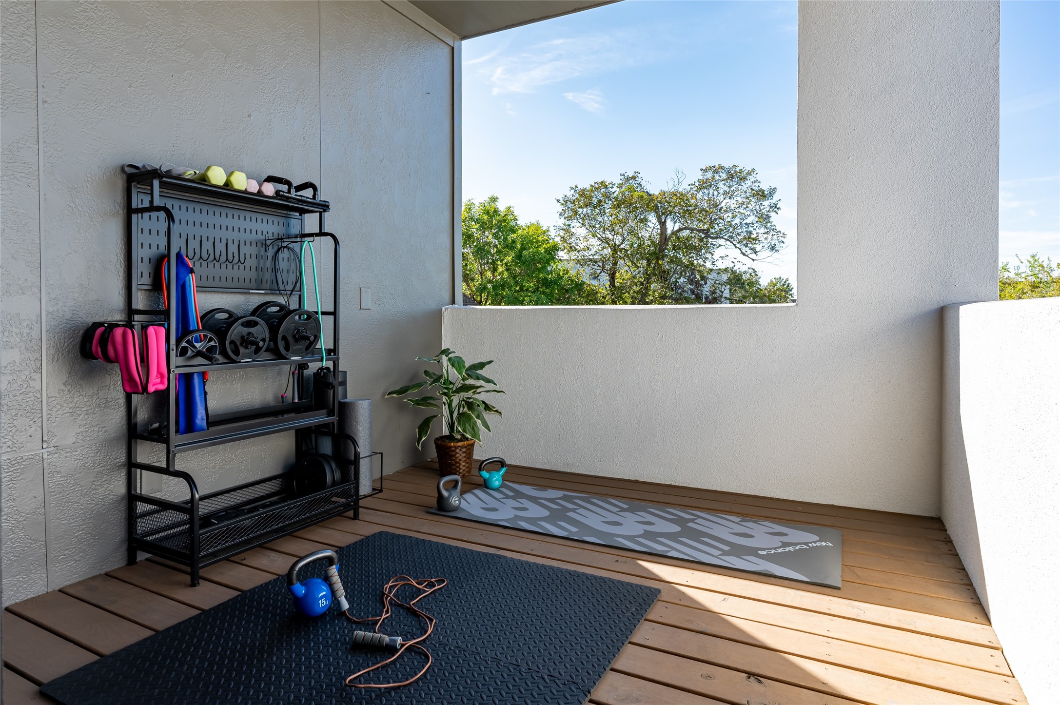913 Thompson Street Houston, TX 77007 - Photo 30 of 49 a living room with furniture and a potted plant