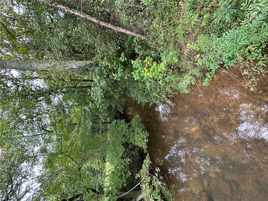 602 Mill Street Williamston, SC 29697 - Photo 2 of 5