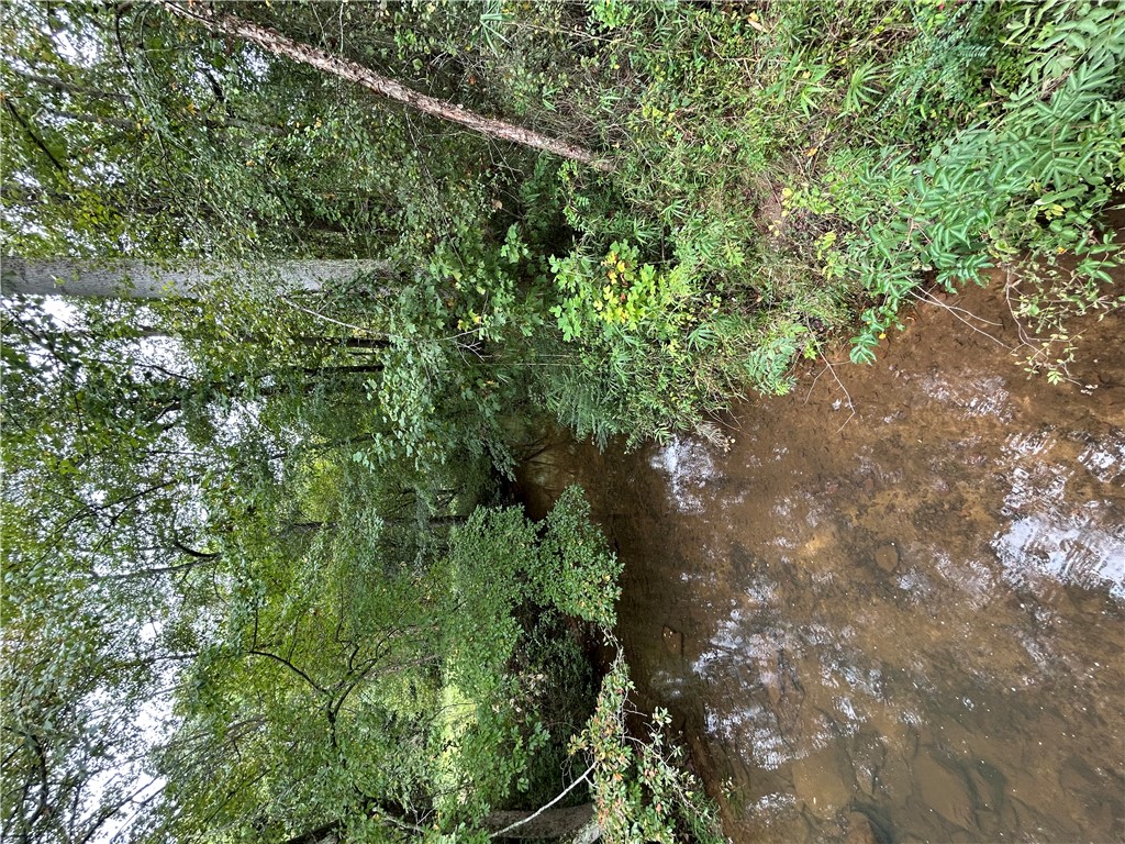 602 Mill Street Williamston, SC 29697 - Photo 3 of 5