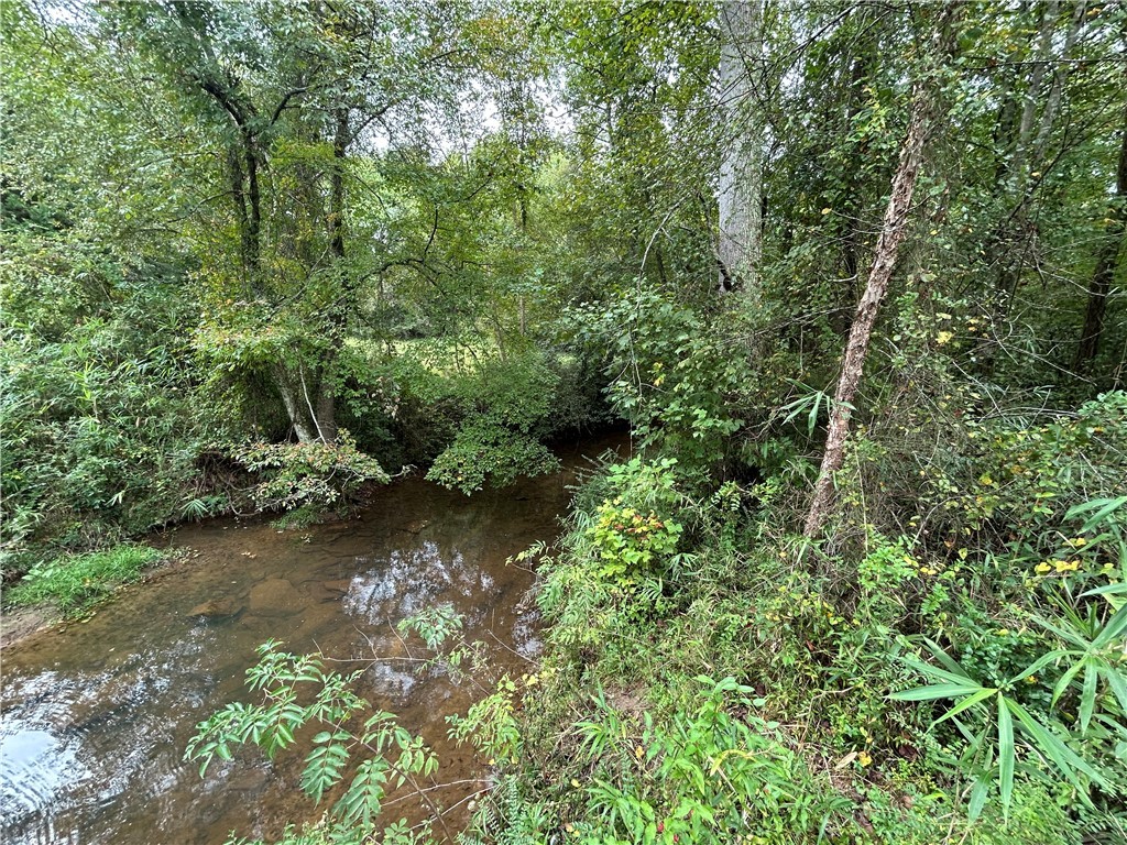 602 Mill Street Williamston, SC 29697 - Photo 4 of 5