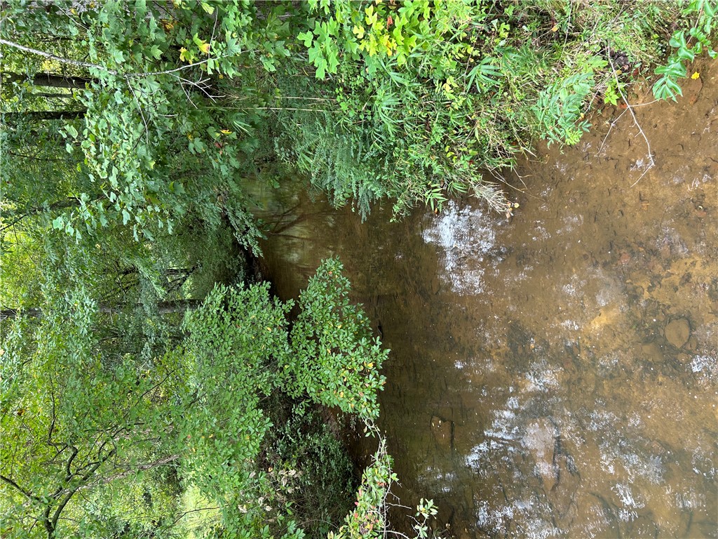 602 Mill Street Williamston, SC 29697 - Photo 5 of 5