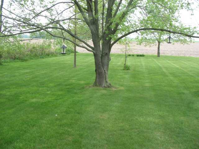 600 Forward Pass Road Southwest Pataskala, OH 43062 - Photo 8 of 10