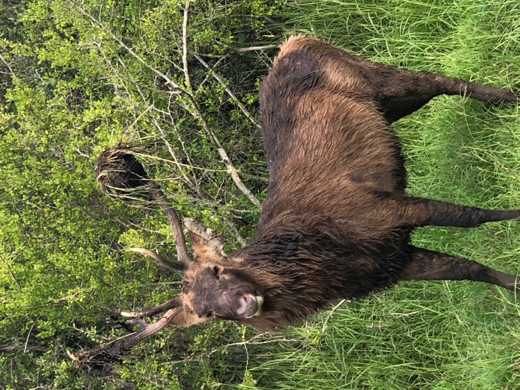 305 Cr 305 Beeville Tx 78102 Beeville, TX 78102 - Photo 1 of 30 a view of a backyard