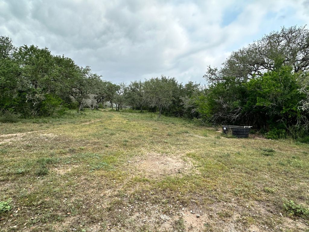305 Cr 305 Beeville Tx 78102 Beeville, TX 78102 - Photo 15 of 30 a view of a field with a trees in the background