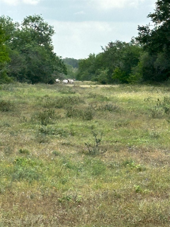 305 Cr 305 Beeville Tx 78102 Beeville, TX 78102 - Photo 21 of 30 a view of field with trees in background
