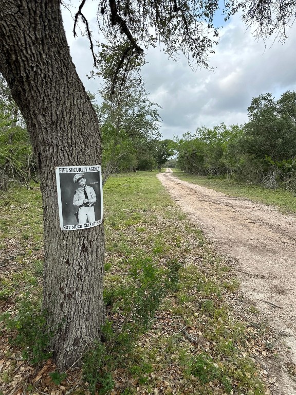 305 Cr 305 Beeville Tx 78102 Beeville, TX 78102 - Photo 23 of 30 a view of lake