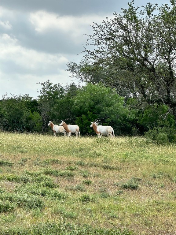 305 Cr 305 Beeville Tx 78102 Beeville, TX 78102 - Photo 4 of 30 a backyard of a house with a yard and seating area