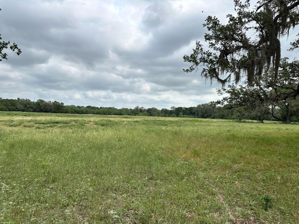 305 Cr 305 Beeville Tx 78102 Beeville, TX 78102 - Photo 7 of 30 a view of a lake with houses in the back