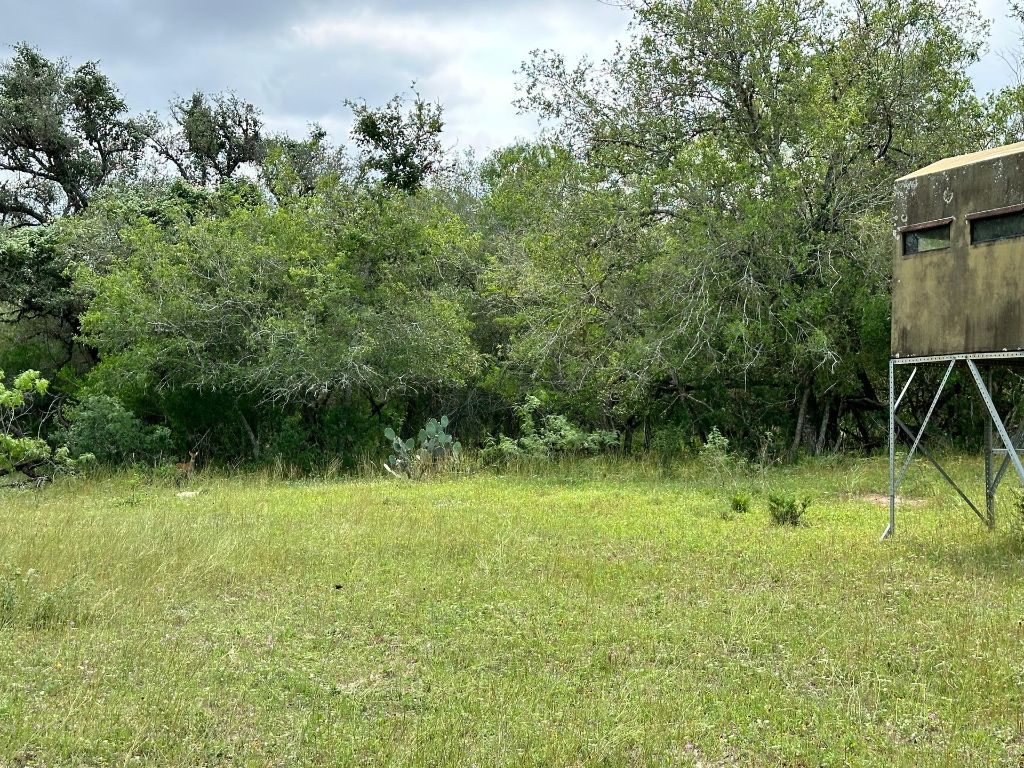 305 Cr 305 Beeville Tx 78102 Beeville, TX 78102 - Photo 9 of 30 a backyard of a house with lots of green space