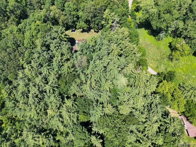 5361 Clark Road Bath, MI 48808 - Photo 57 of 62 DJI_20260713141845_0012_V.JPEG