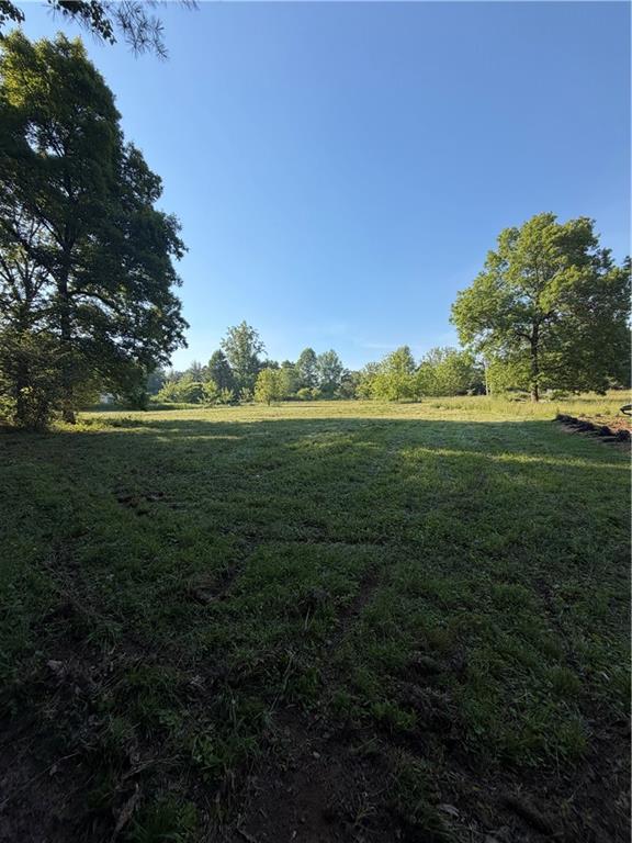 0 My Mountain Road Morganton, GA 30560 - Photo 18 of 19 a yard with lots of green space and trees all around