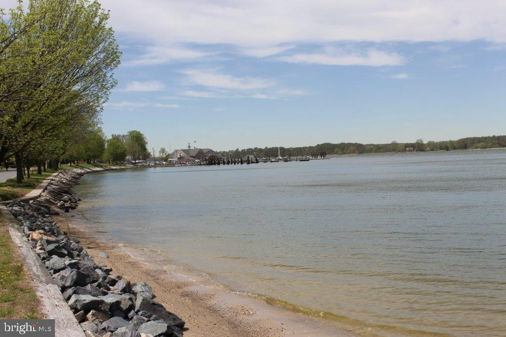 102 Jacks Point Road Oxford, MD 21654 - Photo 79 of 83 a view of a lake view