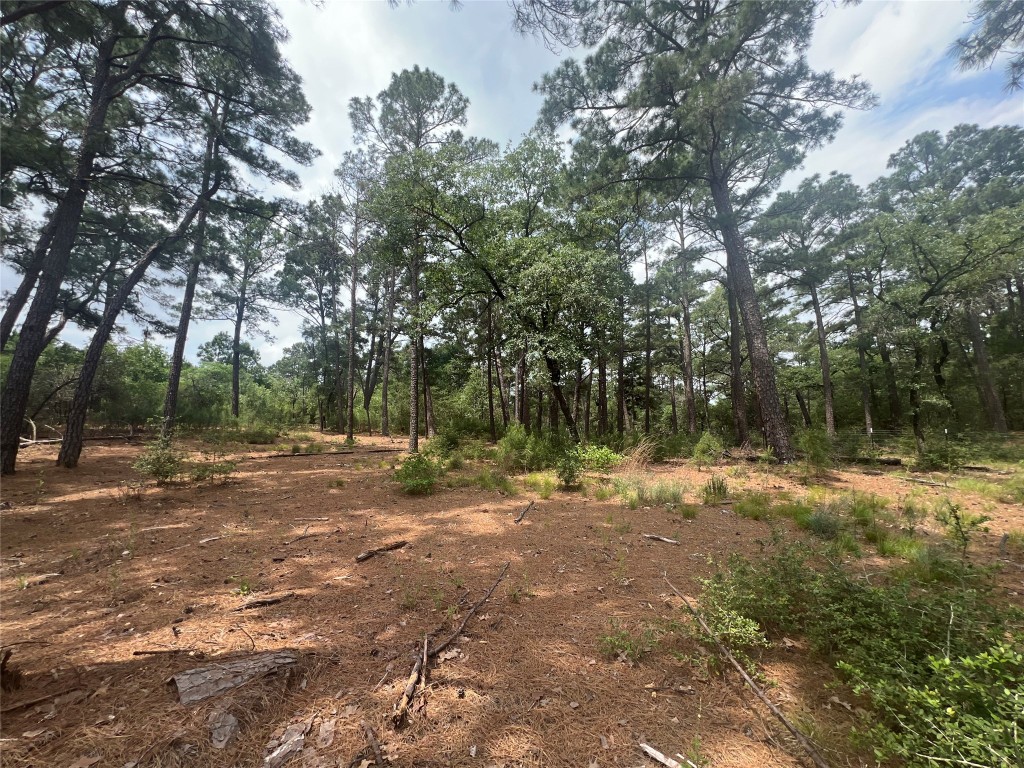 Lot 91 North Hill Ridge Road Bastrop, TX 78602 - Photo 1 of 1 a view of a yard with a tree