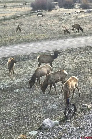 $699,000 | 2079 Hummingbird Lane, Unit 2079 HUMMINGBIRD LN LOT 1 BLOCK 4 VICKERS ENTERPR, Lake City, CO 81235