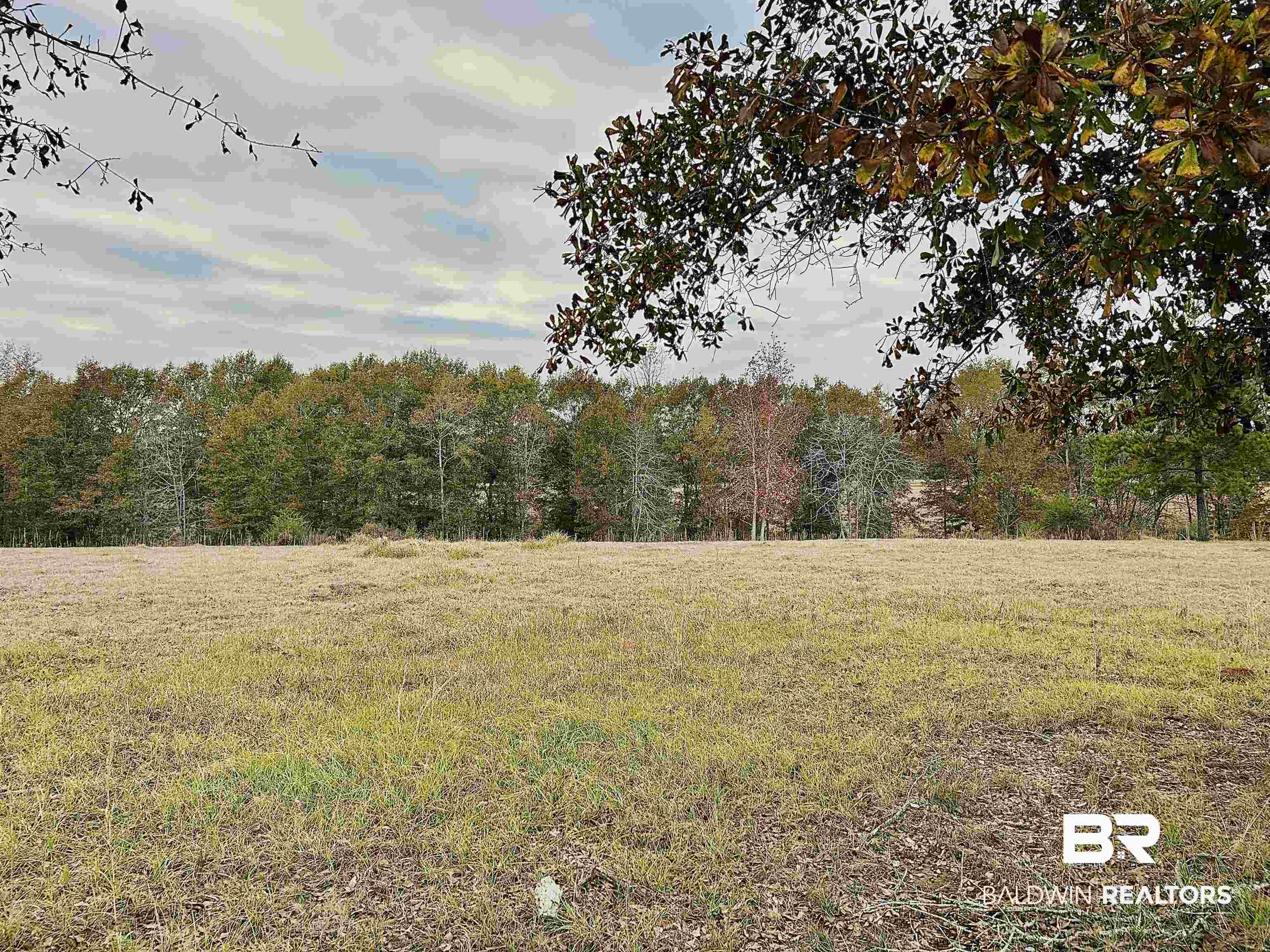 585 Dogwood Road Brewton, AL 36426 - Photo 3 of 3 View of nature