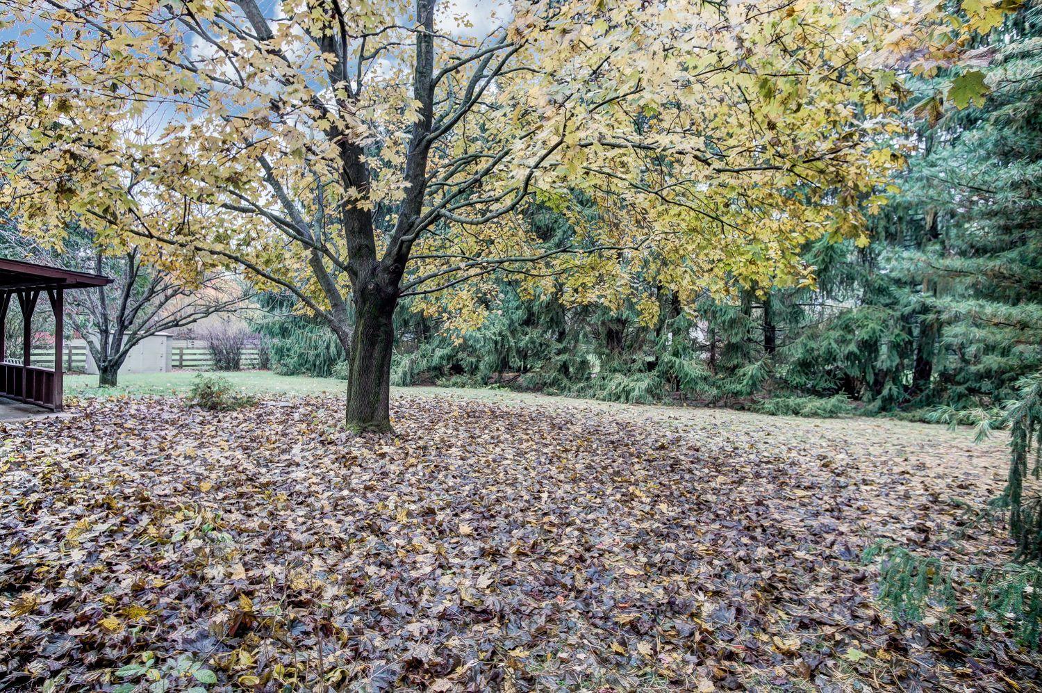 2255 Ballentine Pike Springfield, OH 45502 - Photo 45 of 57