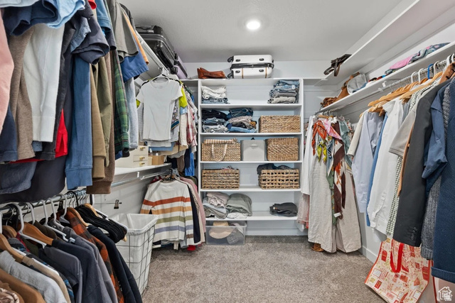 1323 South Raintree Lane Santaquin, UT 84655 - Photo 13 of 23 Walk in closet with light carpet