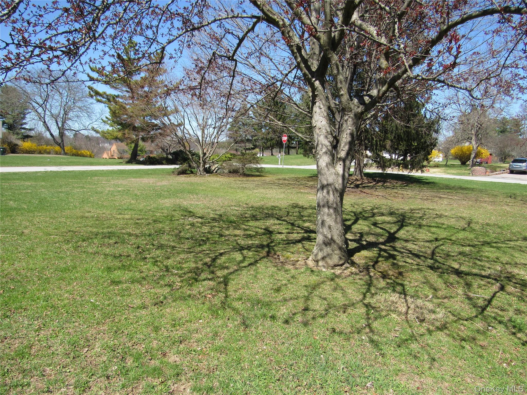 5 Hillside Road Slate Hill, NY 10973 - Photo 3 of 22 Front Yard