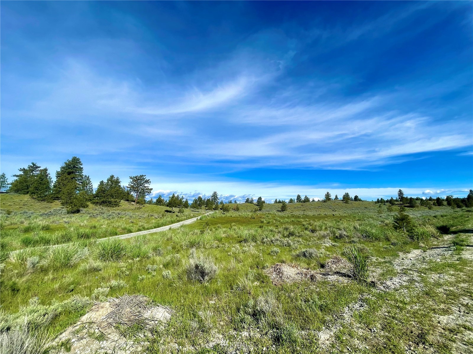 -tbd Razor Road Tonasket, WA 98855 - Photo 6 of 9 Gallery Image 6