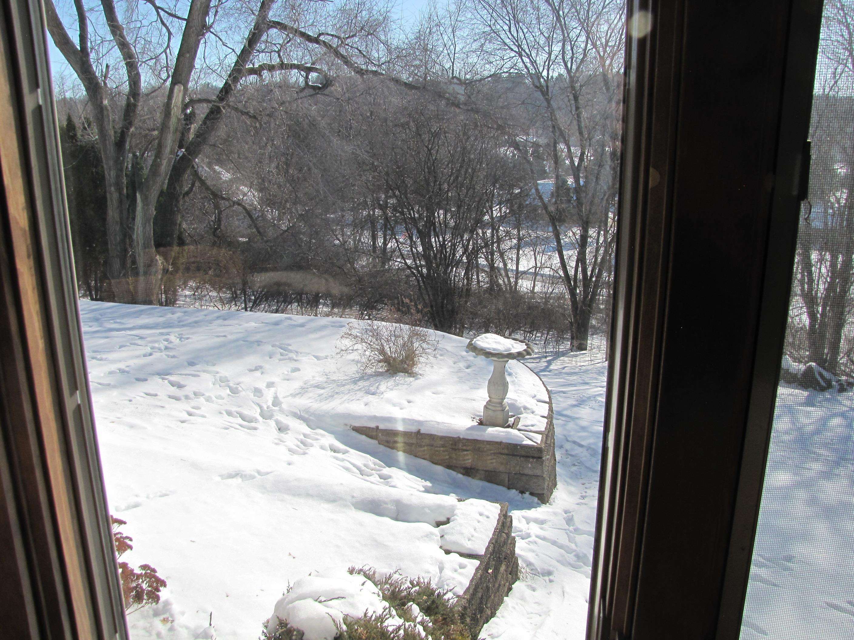 2338 East Pine Tree Court Milton, WI 53563 - Photo 31 of 67