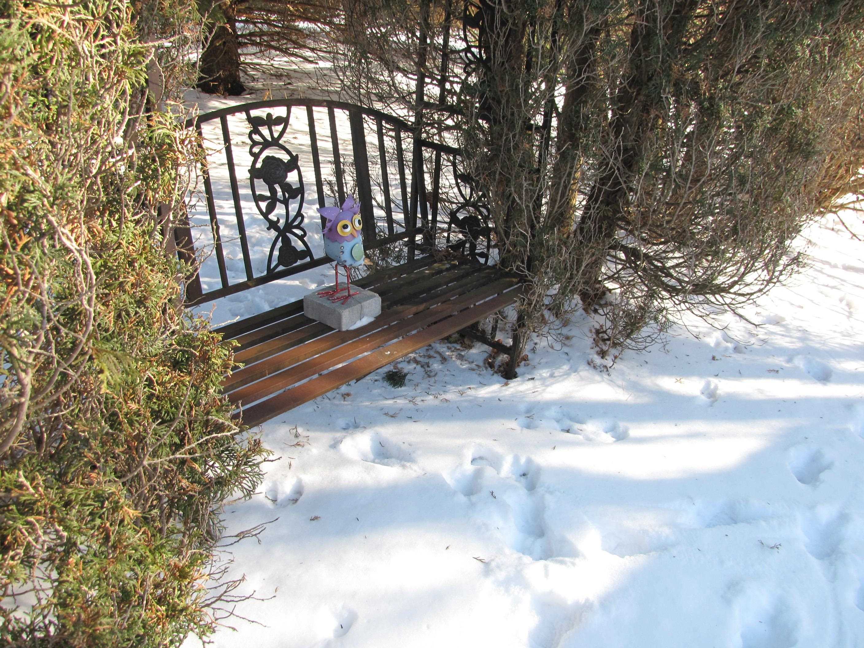 2338 East Pine Tree Court Milton, WI 53563 - Photo 6 of 67