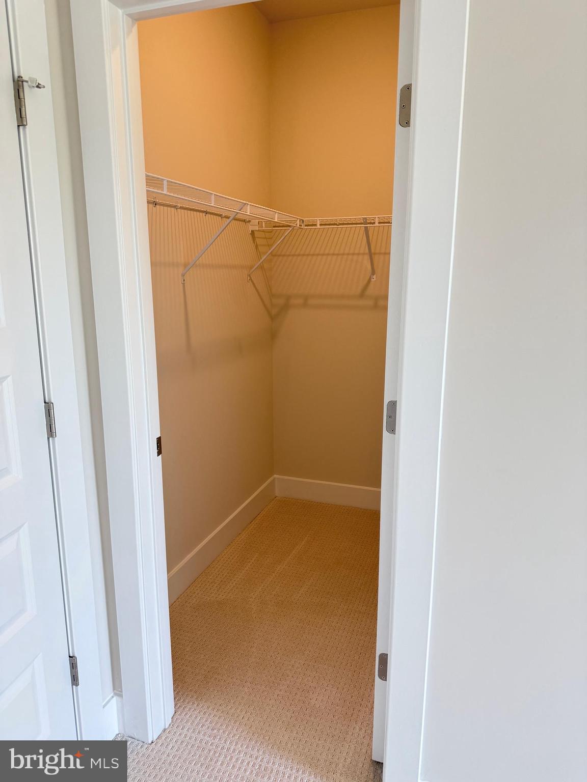 11640 American Dream Way Reston, VA 20190 - Photo 36 of 37 Primary Closet #2