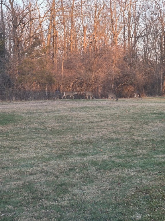 310 South Diamond Mill Road Clayton, OH 45315 - Photo 52 of 54 Gallery Image 52