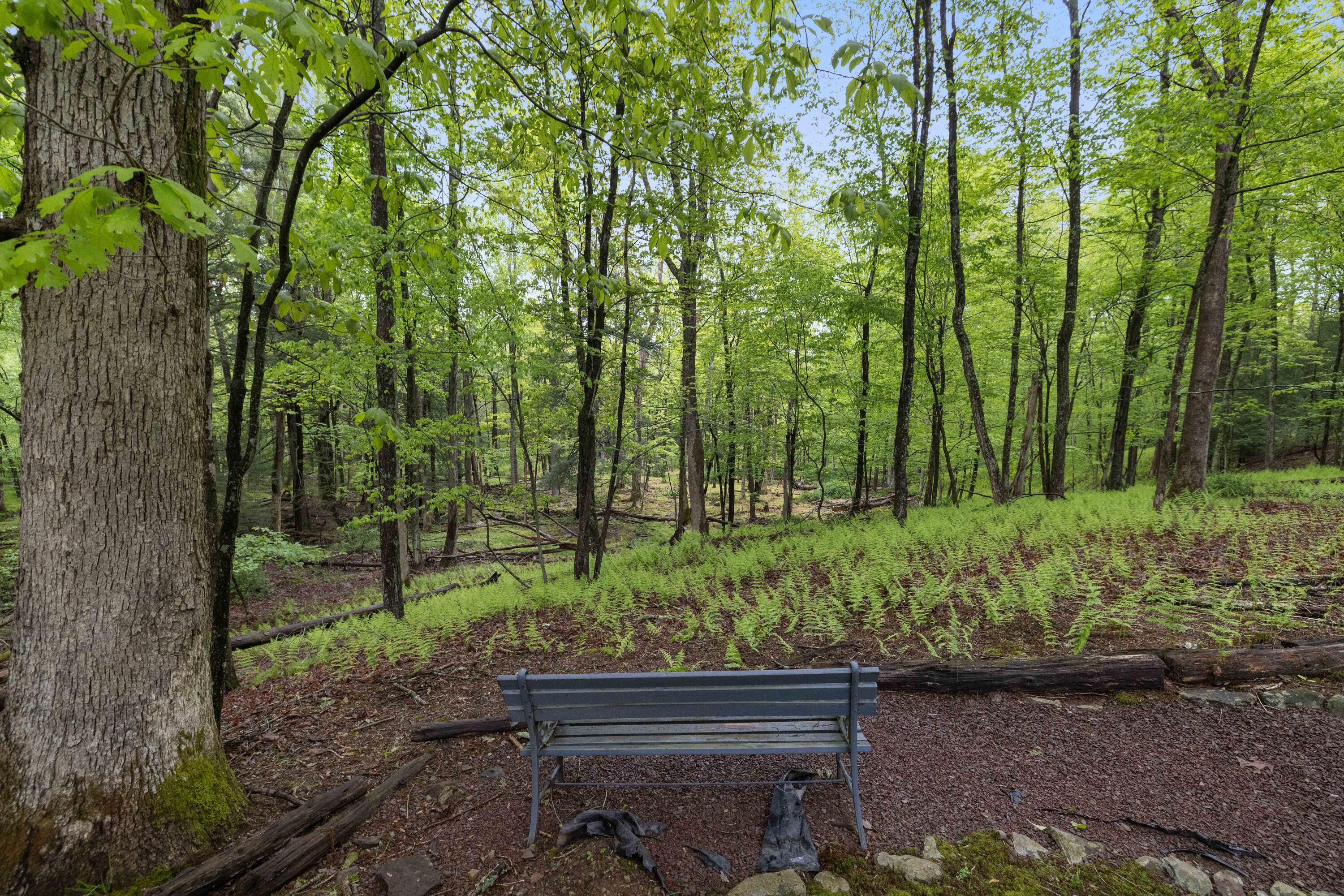 151 Forest Drive Canadensis, PA 18325 - Photo 40 of 48 RBR52692