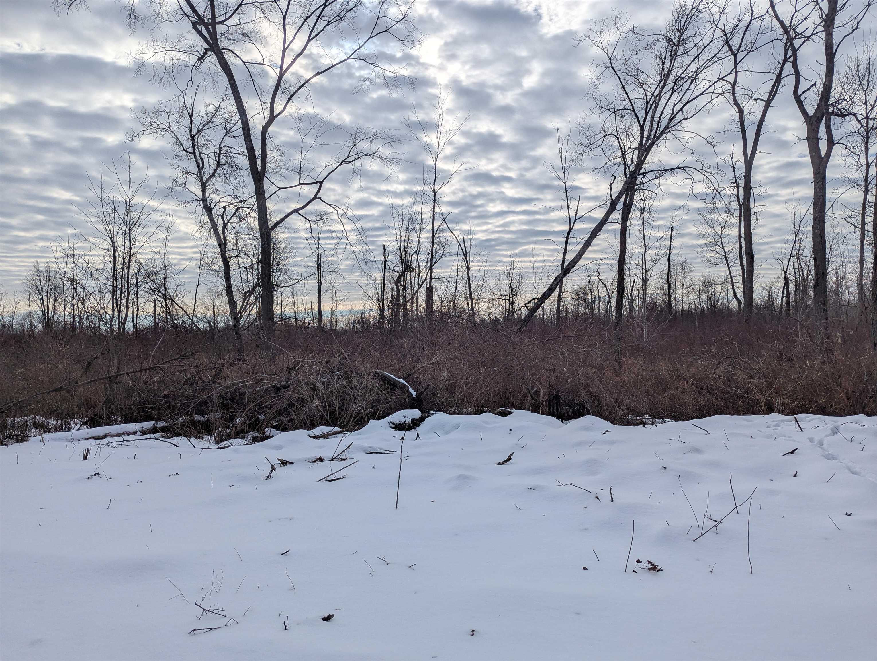 N/a Swenson Road Au Gres, MI 48703 - Photo 8 of 15