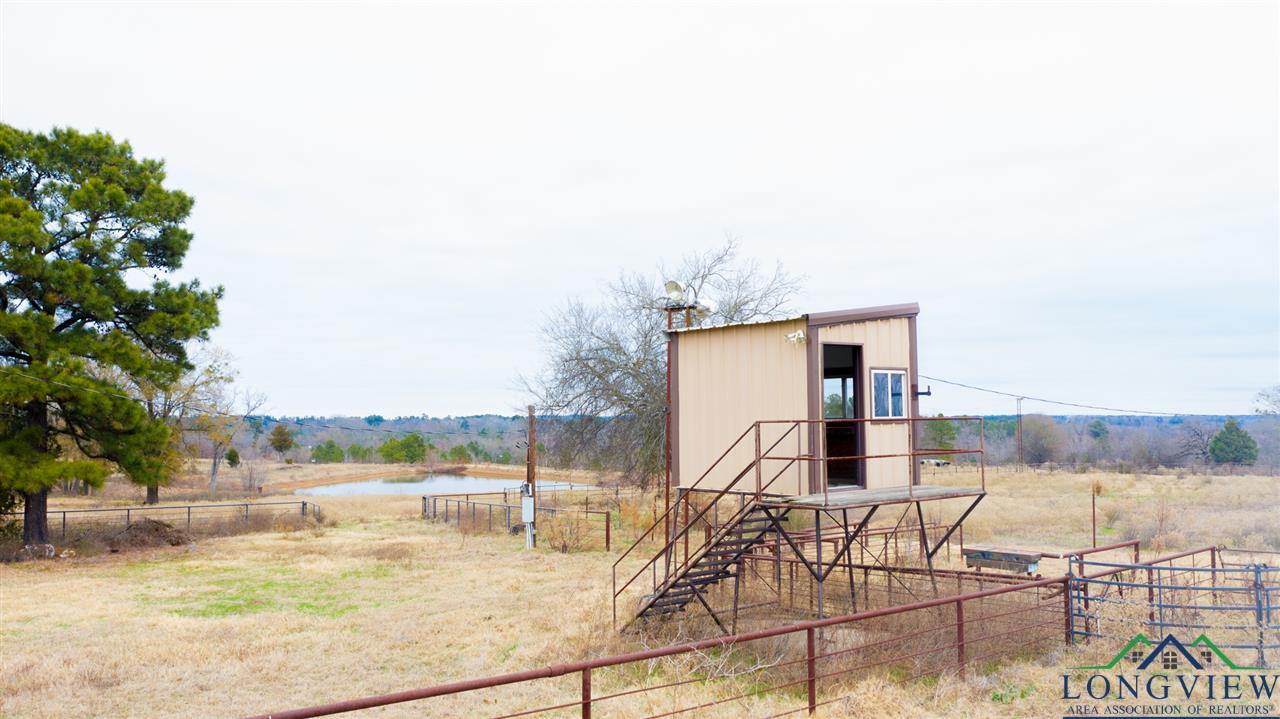10477 Mallard Road Diana, TX 75640 - Photo 15 of 28 Gallery Image 15