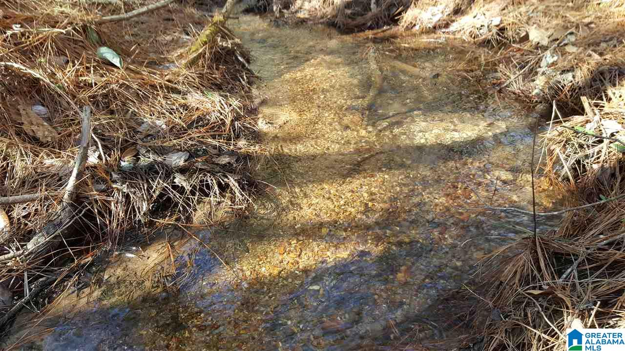0 Baggett Road, Unit 78 / ACRES Ashland, AL 36251 - Photo 9 of 13