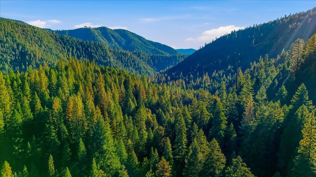 200 Craycroft Ridge Road Downieville, CA 95936 - Photo 39 of 69 Gallery Image 39